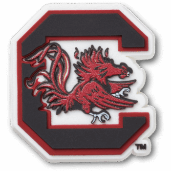 University of South Carolina