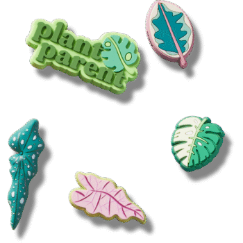 Indoor Plant Besties 5 Pack