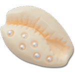 jibbitz_adc6b114-23b8-4926-bf49-2ca63c40bc1c