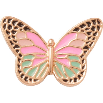 Elevated Colorful Butterfly