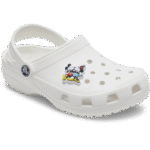 jibbitz_6fdffd11-8ea9-4876-8b24-29dcda40fc85